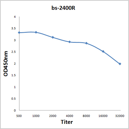 Antigen: bs-2400P, 0.2ug/100ul \nPrimary: Antiserum, 1:500, 1:1000, 1:2000, 1:4000, 1:8000, 1:16000, 1:32000; \nSecondary: HRP conjugated Goat-Anti-Rabbit IgG(bs-0295G-HRP) at 1: 5000;\nTMB staining;\nRead the data in MicroplateReader by 450