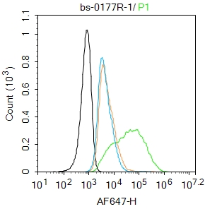 MCF7 cells were incubated in 5% BSA blocking buffer for 30 min at room temperature. Cells were then stained with RAGE Polyclonal Antibody(bs-0177R)at 1:100 dilution in blocking buffer and incubated for 30 min at room temperature, washed twice with 2%BSA in PBS, followed by secondary antibody incubation for 40 min at room temperature. Acquisitions of 20,000 events were performed. Cells stained with primary antibody (green), and isotype control (orange).
