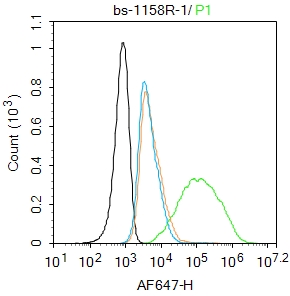 MCF7 cells were incubated in 5% BSA blocking buffer for 30 min at room temperature. Cells were then stained with AGEs Antibody(bs-1158R)at 1:100 dilution in blocking buffer and incubated for 30 min at room temperature, washed twice with 2%BSA in PBS, followed by secondary antibody incubation for 40 min at room temperature. Acquisitions of 20,000 events were performed. Cells stained with primary antibody (green), and isotype control (orange).