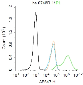 Hela cells were fixed with 4% PFA for 10min at room temperature,permeabilized with 90% ice-cold methanol for 20 min at -20℃, and incubated in 5% BSA blocking buffer for 30 min at room temperature. Cells were then stained with PTEN Polyclonal Antibody(bs-0748R)at 1:100 dilution in blocking buffer and incubated for 30 min at room temperature, washed twice with 2%BSA in PBS, followed by secondary antibody incubation for 40 min at room temperature. Acquisitions of 20,000 events were performed. Cells stained with primary antibody (green), and isotype control (orange).