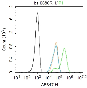 Hela cells were fixed with 4% PFA for 10min at room temperature,permeabilized with 90% ice-cold methanol for 20 min at -20℃, and incubated in 5% BSA blocking buffer for 30 min at room temperature. Cells were then stained with PTEN Antibody(bs-0686R)at 1:100 dilution in blocking buffer and incubated for 30 min at room temperature, washed twice with 2%BSA in PBS, followed by secondary antibody incubation for 40 min at room temperature. Acquisitions of 20,000 events were performed. Cells stained with primary antibody (green), and isotype control (orange).