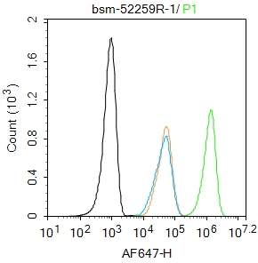 Hela cells were fixed with 4% PFA for 10min at room temperature,permeabilized with 90% ice-cold methanol for 20 min at -20℃, and incubated in 5% BSA blocking buffer for 30 min at room temperature. Cells were then stained with ERK1/2 (3A12) Monoclonal Antibody(bs-R)at 1:100 dilution in blocking buffer and incubated for 30 min at room temperature, washed twice with 2%BSA in PBS, followed by secondary antibody incubation for 40 min at room temperature. Acquisitions of 20,000 events were performed. Cells stained with primary antibody (green), and isotype control (orange).