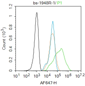 HepG2 cells were fixed with 4% PFA for 10min at room temperature,permeabilized with 0.1% PBST for 20 min at room temperature, and incubated in 5% BSA blocking buffer for 30 min at room temperature. Cells were then stained with WNT5A Polyclonal Antibody(bs-1948R)at 1:100 dilution in blocking buffer and incubated for 30 min at room temperature, washed twice with 2%BSA in PBS, followed by secondary antibody incubation for 40 min at room temperature. Acquisitions of 20,000 events were performed. Cells stained with primary antibody (green), and isotype control (orange).