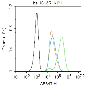 Hela cells were fixed with 4% PFA for 10min at room temperature,permeabilized with 90% ice-cold methanol for 20 min at -20℃, and incubated in 5% BSA blocking buffer for 30 min at room temperature. Cells were then stained with FOX3/NeuN Polyclonal Antibody(bs-1613R)at 1:100 dilution in blocking buffer and incubated for 30 min at room temperature, washed twice with 2%BSA in PBS, followed by secondary antibody incubation for 40 min at room temperature. Acquisitions of 20,000 events were performed. Cells stained with primary antibody (green), and isotype control (orange).