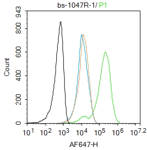 Molt4 cells were fixed with 4% PFA for 10min at room temperature,permeabilized with 90% ice-cold methanol for 20 min at -20℃, and incubated in 5% BSA blocking buffer for 30 min at room temperature. Cells were then stained with MyD88 Antibody(bs-1047R)at 1:100 dilution in blocking buffer and incubated for 30 min at room temperature, washed twice with 2%BSA in PBS, followed by secondary antibody incubation for 40 min at room temperature. Acquisitions of 20,000 events were performed. Cells stained with primary antibody (green), and isotype control (orange). Molt4 cells were fixed with 4% PFA for 10min at room temperature,permeabilized with 90% ice-cold methanol for 20 min at -20℃, and incubated in 5% BSA blocking buffer for 30 min at room temperature. Cells were then stained with MyD88 Antibody(bs-1047R)at 1:100 dilution in blocking buffer and incubated for 30 min at room temperature, washed twice with 2%BSA in PBS, followed by secondary antibody incubation for 40 min at room temperature. Acquisitions of 20,000 events were performed. Cells stained with primary antibody (green), and isotype control (orange).