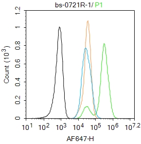 A431 cells were fixed with 4% PFA for 10min at room temperature,permeabilized with 90% ice-cold methanol for 20 min at -20℃, and incubated in 5% BSA blocking buffer for 30 min at room temperature. Cells were then stained with Galectin 3 Polyclonal Antibody(bs-0721R)at 1:100 dilution in blocking buffer and incubated for 30 min at room temperature, washed twice with 2%BSA in PBS, followed by secondary antibody incubation for 40 min at room temperature. Acquisitions of 20,000 events were performed. Cells stained with primary antibody (green), and isotype control (orange).