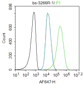 Molt4 cells were fixed with 4% PFA for 10min at room temperature,permeabilized with 90% ice-cold methanol for 20 min at -20℃, and incubated in 5% BSA blocking buffer for 30 min at room temperature. Cells were then stained with MDM2 (Ser166) Antibody(bs-3266R)at 1:100 dilution in blocking buffer and incubated for 30 min at room temperature, washed twice with 2%BSA in PBS, followed by secondary antibody incubation for 40 min at room temperature. Acquisitions of 20,000 events were performed. Cells stained with primary antibody (green), and isotype control (orange).