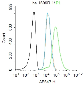 Molt4 cells were fixed with 4% PFA for 10min at room temperature,permeabilized with 90% ice-cold methanol for 20 min at -20℃, and incubated in 5% BSA blocking buffer for 30 min at room temperature. Cells were then stained with Galectin 9 Polyclonal Antibody(bs-1699R)at 1:100 dilution in blocking buffer and incubated for 30 min at room temperature, washed twice with 2%BSA in PBS, followed by secondary antibody incubation for 40 min at room temperature. Acquisitions of 20,000 events were performed. Cells stained with primary antibody (green), and isotype control (orange).
