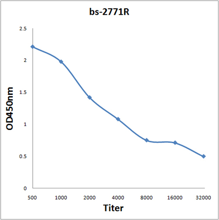 Antigen: bs-2771P, 0.2ug/100ul \nPrimary: Antiserum, 1:500, 1:1000, 1:2000, 1:4000, 1:8000, 1:16000, 1:32000; \nSecondary: HRP conjugated Goat-Anti-Rabbit IgG(bs-0295G-HRP) at 1: 5000;\nTMB staining;\nRead the data in MicroplateReader by 450
