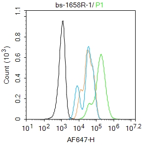 A431 cells were fixed with 4% PFA for 10min at room temperature,permeabilized with 90% ice-cold methanol for 20 min at -20℃, and incubated in 5% BSA blocking buffer for 30 min at room temperature. Cells were then stained with STAT3 (Tyr705) Polyclonal Antibody(bs-1658R)at 1:100 dilution in blocking buffer and incubated for 30 min at room temperature, washed twice with 2%BSA in PBS, followed by secondary antibody incubation for 40 min at room temperature. Acquisitions of 20,000 events were performed. Cells stained with primary antibody (green), and isotype control (orange).