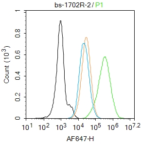 HL-60 cells were fixed with 4% PFA for 10min at room temperature,permeabilized with 0.1% PBST for 20 min at room temperature, and incubated in 5% BSA blocking buffer for 30 min at room temperature. Cells were then stained with CD15/Fut4/SSEA-1 Polyclonal Antibody(bs-1702R)at 1:100 dilution in blocking buffer and incubated for 30 min at room temperature, washed twice with 2%BSA in PBS, followed by secondary antibody incubation for 40 min at room temperature. Acquisitions of 20,000 events were performed. Cells stained with primary antibody (green), and isotype control (orange). HL-60 cells were fixed with 4% PFA for 10min at room temperature,permeabilized with 0.1% PBST for 20 min at room temperature, and incubated in 5% BSA blocking buffer for 30 min at room temperature. Cells were then stained with CD15/Fut4/SSEA-1 Polyclonal Antibody(bs-1702R)at 1:100 dilution in blocking buffer and incubated for 30 min at room temperature, washed twice with 2%BSA in PBS, followed by secondary antibody incubation for 40 min at room temperature. Acquisitions of 20,000 events were performed. Cells stained with primary antibody (green), and isotype control (orange).