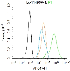 A431 cells were fixed with 4% PFA for 10min at room temperature,permeabilized with 90% ice-cold methanol for 20 min at -20℃, and incubated in 5% BSA blocking buffer for 30 min at room temperature. Cells were then stained with VAX1 Polyclonal Antibody(bs-11496R)at 1:100 dilution in blocking buffer and incubated for 30 min at room temperature, washed twice with 2%BSA in PBS, followed by secondary antibody incubation for 40 min at room temperature. Acquisitions of 20,000 events were performed. Cells stained with primary antibody (green), and isotype control (orange).