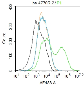 Mouse kidney cells were incubated in 5% BSA blocking buffer for 30 min at room temperature. Cells were then stained with CD133 Antibody(bs-4770R)at 1:50 dilution in blocking buffer and incubated for 30 min at room temperature, washed twice with 2%BSA in PBS, followed by secondary antibody incubation for 40 min at room temperature. Acquisitions of 20,000 events were performed. Cells stained with primary antibody (green), and isotype control (orange). Mouse kidney cells were incubated in 5% BSA blocking buffer for 30 min at room temperature. Cells were then stained with CD133 Antibody(bs-4770R)at 1:50 dilution in blocking buffer and incubated for 30 min at room temperature, washed twice with 2%BSA in PBS, followed by secondary antibody incubation for 40 min at room temperature. Acquisitions of 20,000 events were performed. Cells stained with primary antibody (green), and isotype control (orange).