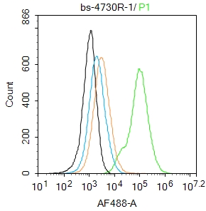 293T cells were fixed with 4% PFA for 10min at room temperature,permeabilized with 90% ice-cold methanol for 20 min at -20℃, and incubated in 5% BSA blocking buffer for 30 min at room temperature. Cells were then stained with NADPH oxidase 4 Antibody(bs-4730R)at 1:100 dilution in blocking buffer and incubated for 30 min at room temperature, washed twice with 2%BSA in PBS, followed by secondary antibody incubation for 40 min at room temperature. Acquisitions of 20,000 events were performed. Cells stained with primary antibody (green), and isotype control (orange).