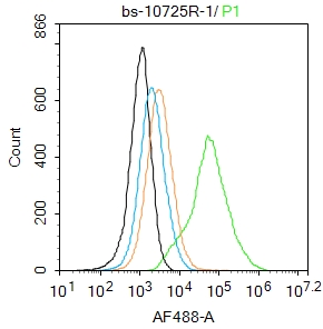 293T cells were fixed with 4% PFA for 10min at room temperature,permeabilized with 90% ice-cold methanol for 20 min at -20℃, and incubated in 5% BSA blocking buffer for 30 min at room temperature. Cells were then stained with SOX9 Antibody(bs-10725R)at 1:100 dilution in blocking buffer and incubated for 30 min at room temperature, washed twice with 2%BSA in PBS, followed by secondary antibody incubation for 40 min at room temperature. Acquisitions of 20,000 events were performed. Cells stained with primary antibody (green), and isotype control (orange).