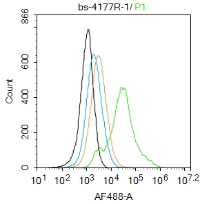 293T cells were fixed with 4% PFA for 10min at room temperature,permeabilized with 90% ice-cold methanol for 20 min at -20℃, and incubated in 5% BSA blocking buffer for 30 min at room temperature. Cells were then stained with SOX9 Antibody(bs-4177R)at 1:100 dilution in blocking buffer and incubated for 30 min at room temperature, washed twice with 2%BSA in PBS, followed by secondary antibody incubation for 40 min at room temperature. Acquisitions of 20,000 events were performed. Cells stained with primary antibody (green), and isotype control (orange).