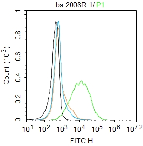 K562 cells were incubated in 5% BSA blocking buffer for 30 min at room temperature. Cells were then stained with EGF Polyclonal Antibody(bs-2008R)at 1:100 dilution in blocking buffer and incubated for 30 min at room temperature, washed twice with 2%BSA in PBS, followed by secondary antibody incubation for 40 min at room temperature. Acquisitions of 20,000 events were performed. Cells stained with primary antibody (green), and isotype control (orange).