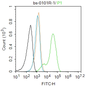 A549 cells were fixed with 4% PFA for 10min at room temperature,permeabilized with 0.1% PBST for 20 min at room temperature, and incubated in 5% BSA blocking buffer for 30 min at room temperature. Cells were then stained with PKM2 Polyclonal Antibody(bs-0101R)at 1:100 dilution in blocking buffer and incubated for 30 min at room temperature, washed twice with 2%BSA in PBS, followed by secondary antibody incubation for 40 min at room temperature. Acquisitions of 20,000 events were performed. Cells stained with primary antibody (green), and isotype control (orange).