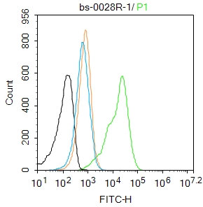 A431 cells were fixed with 4% PFA for 10min at room temperature,permeabilized with 90% ice-cold methanol for 20 min at -20℃,and incubated in 5% BSA blocking buffer for 30 min at room temperature. Cells were then stained with GSK-3 Beta Polyclonal Antibody(bs-0028R)at 1:100 dilution in blocking buffer and incubated for 30 min at room temperature, washed twice with 2%BSA in PBS, followed by secondary antibody incubation for 40 min at room temperature. Acquisitions of 20,000 events were performed. Cells stained with primary antibody (green), and isotype control (orange).