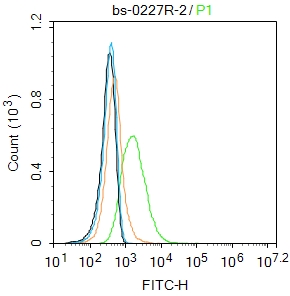 MCF7 cells were incubated in 5% BSA blocking buffer for 30 min at room temperature. Cells were then stained with IGF1R Polyclonal Antibody(bs-0227R)at 1:50 dilution in blocking buffer and incubated for 30 min at room temperature, washed twice with 2%BSA in PBS, followed by secondary antibody incubation for 40 min at room temperature. Acquisitions of 20,000 events were performed. Cells stained with primary antibody (green), and isotype control (orange).