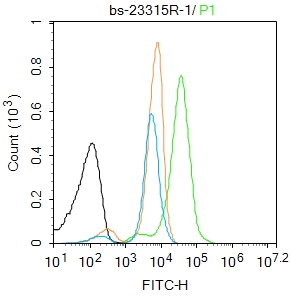 K562 cells were fixed with 4% PFA for 10min at room temperature,permeabilized with 90% ice-cold methanol for 20 min at -20℃, and incubated in 5% BSA blocking buffer for 30 min at room temperature. Cells were then stained with MCL1 Antibody(bs-23315R)at 1:100 dilution in blocking buffer and incubated for 30 min at room temperature, washed twice with 2%BSA in PBS, followed by secondary antibody incubation for 40 min at room temperature. Acquisitions of 20,000 events were performed. Cells stained with primary antibody (green), and isotype control (orange).