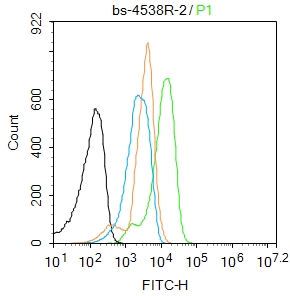 K562 cells were fixed with 4% PFA for 10min at room temperature,permeabilized with 0.1% PBST for 20 min at room temperature, and incubated in 5% BSA blocking buffer for 30 min at room temperature. Cells were then stained with TGF Beta 1+2+3 Antibody(bs-4538R)at 1:50 dilution in blocking buffer and incubated for 30 min at room temperature, washed twice with 2%BSA in PBS, followed by secondary antibody incubation for 40 min at room temperature. Acquisitions of 20,000 events were performed. Cells stained with primary antibody (green), and isotype control (orange).