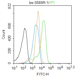 K562 cells were fixed with 4% PFA for 10min at room temperature,permeabilized with 0.1% PBST for 20 min at room temperature, and incubated in 5% BSA blocking buffer for 30 min at room temperature. Cells were then stained with TAK1 Antibody(bs-3585R)at 1:100 dilution in blocking buffer and incubated for 30 min at room temperature, washed twice with 2%BSA in PBS, followed by secondary antibody incubation for 40 min at room temperature. Acquisitions of 20,000 events were performed. Cells stained with primary antibody (green), and isotype control (orange).