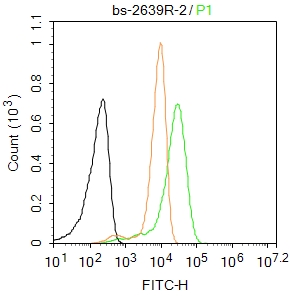 HepG2 cells were fixed with 4% PFA for 10min at room temperature,permeabilized with 0.1% PBST for 20 min at room temperature, and incubated in 5% BSA blocking buffer for 30 min at room temperature. Cells were then stained with PTGES2 Antibody(bs-2639R)at 1:50 dilution in blocking buffer and incubated for 30 min at room temperature, washed twice with 2%BSA in PBS, followed by secondary antibody incubation for 40 min at room temperature. Acquisitions of 20,000 events were performed. Cells stained with primary antibody (green), and isotype control (orange).