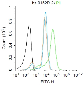 HepG2 cells were fixed with 4% PFA for 10min at room temperature,permeabilized with 0.1% PBST for 20 min at room temperature, and incubated in 5% BSA blocking buffer for 30 min at room temperature. Cells were then stained with Prealbumin Antibody(bs-0152R)at 1:50 dilution in blocking buffer and incubated for 30 min at room temperature, washed twice with 2%BSA in PBS, followed by secondary antibody incubation for 40 min at room temperature. Acquisitions of 20,000 events were performed. Cells stained with primary antibody (green), and isotype control (orange).