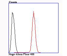 Flow cytometric analysis of Hela cells with Nogo antibody at 1/100 dilution (red) compared with an unlabelled control (cells without incubation with primary antibody; black).