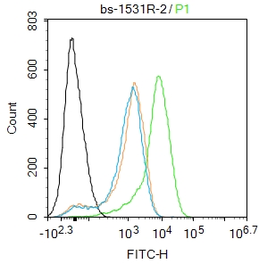 Mouse spleen cells were fixed with 4% PFA for 10min at room temperature,permeabilized with 90% ice-cold methanol for 20 min at -20℃, and incubated in 5% BSA blocking buffer for 30 min at room temperature. Cells were then stained with ATF4 Antibody(bs-1531R)at 1:50 dilution in blocking buffer and incubated for 30 min at room temperature, washed twice with 2%BSA in PBS, followed by secondary antibody incubation for 40 min at room temperature. Acquisitions of 20,000 events were performed. Cells stained with primary antibody (green), and isotype control (orange).