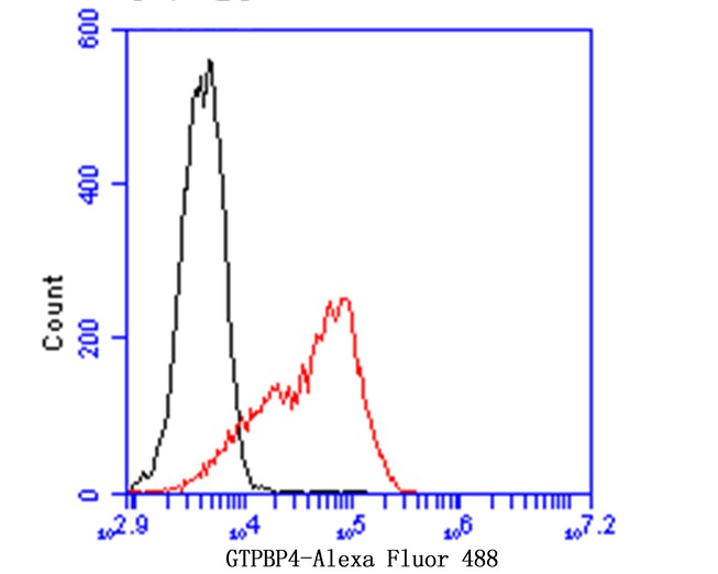 Flow cytometric analysis of GTPBP4 was done on thp-1 cells. The cells were fixed, permeabilized and stained with the primary antibody (bsm-54653R,1/100) (red). After incubation of the primary antibody at room temperature for an hour, the cells were stained with a Alexa Fluor 488-conjugated goat anti-rabbit IgG Secondary antibody at 1/500 dilution for 30 minutes.Unlabelled sample was used as a control (cells without incubation with primary antibody; black).