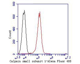 Flow cytometric analysis of Calpain small subunit 1 was done on A549 cells. The cells were fixed, permeabilized and stained with the primary antibody (bsm-54658R, 1/50) (red). After incubation of the primary antibody at room temperature for an hour,