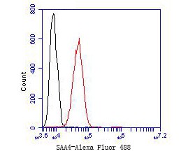 Flow cytometric analysis of SAA4 was done on SiHa cells. The cells were fixed, permeabilized and stained with the primary antibody (bsm-54660R, 1/50) (red). After incubation of the primary antibody at room temperature for an hour, the cells were stained with a Alexa Fluor 488-conjugated Goat anti-Rabbit IgG Secondary antibody at 1/1000 dilution for 30 minutes.Unlabelled sample was used as a control (cells without incubation with primary antibody; black).