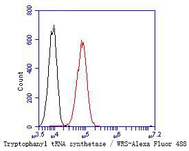 Flow cytometric analysis of Tryptophanyl tRNA synthetase / WRS was done on A549 cells. The cells were fixed, permeabilized and stained with the primary antibody (bsm-54661R, 1/50) (red). After incubation of the primary antibody at room temperature for an hour, the cells were stained with a Alexa Fluor 488-conjugated Goat anti-Rabbit IgG Secondary antibody at 1/1000 dilution for 30 minutes.Unlabelled sample was used as a control (cells without incubation with primary antibody; black).