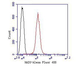 Flow cytometric analysis of MAD3 was done on SHG-44 cells. The cells were fixed, permeabilized and stained with the primary antibody (bsm-54664R, 1/50) (red). After incubation of the primary antibody at room temperature for an hour, the cells were stained with a Alexa Fluor 488-conjugated Goat anti-Rabbit IgG Secondary antibody at 1/1000 dilution for 30 minutes.Unlabelled sample was used as a control (cells without incubation with primary antibody; black).