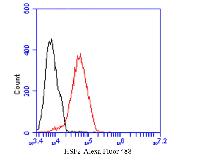 Flow cytometric analysis of HSF2 was done on 293 cells. The cells were fixed, permeabilized and stained with Carcino Embryonic Antigen CEA antibody at 1/100 dilution (red) compared with an unlabelled control (cells without incubation with primary antibody.