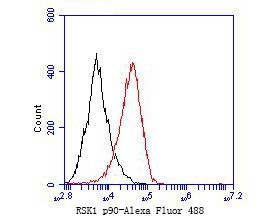Flow cytometric analysis of RSK1 p90 was done on F9 cells. The cells were fixed, permeabilized and stained with the primary antibody (bsm-54668R, 1/50) (red). After incubation of the primary antibody at room temperature for an hour, the cells were stained with a Alexa Fluor 488-conjugated Goat anti-Rabbit IgG Secondary antibody at 1/1000 dilution for 30 minutes.Unlabelled sample was used as a control (cells without incubation with primary antibody; black).