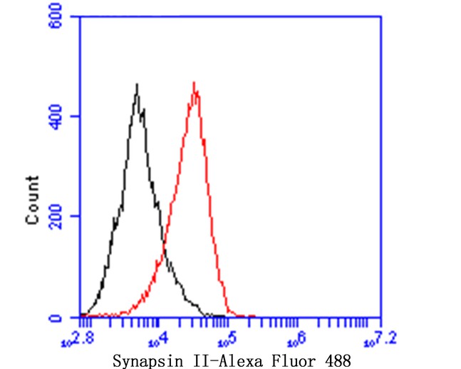 Flow cytometric analysis of Synapsin II was done on F9 cells. The cells were fixed, permeabilized and stained with Synapsin II antibody at 1/100 dilution (red) compared with an unlabelled control (cells without incubation with primary antibody; black)