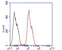 Flow cytometric analysis of ICAD was done on HCT116 cells. The cells were fixed, permeabilized and stained with the primary antibody (bsm-54674R, 1/100) (red). After incubation of the primary antibody at room temperature for an hour, the cells were stained with a Alexa Fluor 488-conjugated goat anti-rabbit IgG Secondary antibody at 1/500 dilution for 30 minutes.Unlabelled sample was used as a control (cells without incubation with primary antibody; black).