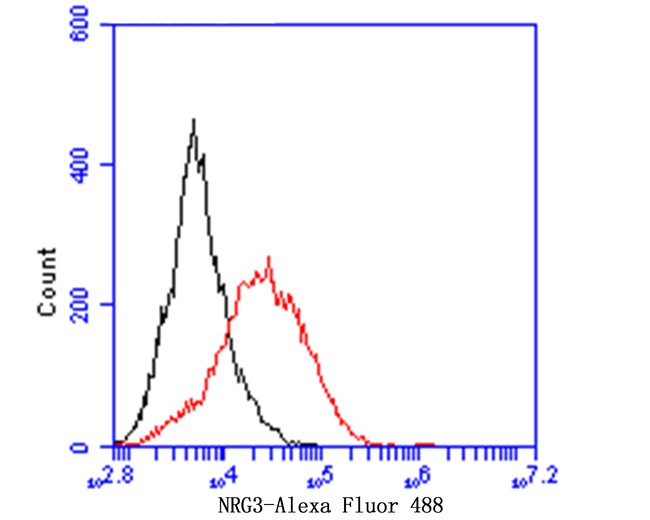 Flow cytometric analysis of NRG3 was done on F9 cells. The cells were fixed, permeabilized and stained with Carcino Embryonic Antigen CEA antibody at 1/100 dilution (red) compared with an unlabelled control (cells without incubation with primary antibody; black). After incubation of the primary antibody on room temperature for an hour, the cells was stained with a Alexa Fluor™ 488-conjugated goat anti-rabbit IgG Secondary antibody at 1/500 dilution for 30 minutes.