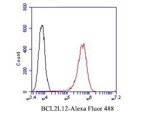 A431 cell; 4% Paraformaldehyde-fixed; Triton X-100 at room temperature for 20 min; Blocking buffer (normal goat serum) at 37°C for 20 min; Antibody incubation with (BCL2L12) Monoclonal Antibody, Unconjugated (bsm-54682R) 1:50, 90 minutes at 37°C; followed by a conjugated Goat Anti-Rabbit IgG antibody at 37°C for 90 minutes, DAPI (blue) was used to stain the cell nuclei.