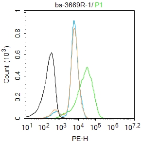 Jurkat cells were fixed with 4% PFA for 10min at room temperature,permeabilized with 90% ice-cold methanol for 20 min at -20℃, and incubated in 5% BSA blocking buffer for 30 min at room temperature. Cells were then stained with BRN3A Antibody(bs-3669R)at 1:100 dilution in blocking buffer and incubated for 30 min at room temperature, washed twice with 2%BSA in PBS, followed by secondary antibody incubation for 40 min at room temperature. Acquisitions of 20,000 events were performed. Cells stained with primary antibody (green), and isotype control (orange). Jurkat cells were fixed with 4% PFA for 10min at room temperature,permeabilized with 90% ice-cold methanol for 20 min at -20℃, and incubated in 5% BSA blocking buffer for 30 min at room temperature. Cells were then stained with BRN3A Antibody(bs-3669R)at 1:100 dilution in blocking buffer and incubated for 30 min at room temperature, washed twice with 2%BSA in PBS, followed by secondary antibody incubation for 40 min at room temperature. Acquisitions of 20,000 events were performed. Cells stained with primary antibody (green), and isotype control (orange).