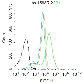 THP-1 cells were fixed with 4% PFA for 10min at room temperature,permeabilized with 0.1% PBST for 20 min at room temperature, and incubated in 5% BSA blocking buffer for 30 min at room temperature. Cells were then stained with SP-D/PSPD Antibody(bs-1583R)at 1:50 dilution in blocking buffer and incubated for 30 min at room temperature, washed twice with 2%BSA in PBS, followed by secondary antibody incubation for 40 min at room temperature. Acquisitions of 20,000 events were performed. Cells stained with primary antibody (green), and isotype control (orange).