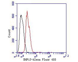 Flow cytometric analysis of BMP15 was done on Hela cells. The cells were fixed, permeabilized and stained with the primary antibody (bsm-54683R,1/50) (red). After incubation of the primary antibody at room temperature for an hour, the cells were stained with a Alexa Fluor 488-conjugated Goat anti-Rabbit IgG Secondary antibody at 1/1000 dilution for 30 minutes.Unlabelled sample was used as a control (cells without incubation with primary antibody; black).