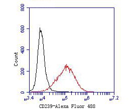 Flow cytometric analysis of CD239 was done on JAR cells. The cells were fixed, permeabilized and stained with the primary antibody (bsm-54684R, 1/50) (red). After incubation of the primary antibody at room temperature for an hour, the cells were stained with a Alexa Fluor 488-conjugated Goat anti-Rabbit IgG Secondary antibody at 1/1000 dilution for 30 minutes.Unlabelled sample was used as a control (cells without incubation with primary antibody; black).