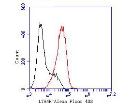 Flow cytometric analysis of LTA4H was done on F9 cells. The cells were fixed, permeabilized and stained with the primary antibody (bsm-54689R,1/50) (red). After incubation of the primary antibody at room temperature for an hour, the cells were stained with a Alexa Fluor 488-conjugated Goat anti-Rabbit IgG Secondary antibody at 1/1000 dilution for 30 minutes.Unlabelled sample was used as a control (cells without incubation with primary antibody; black).