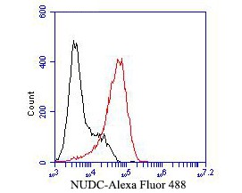 Flow cytometric analysis of NUDC was done on F9 cells. The cells were fixed, permeabilized and stained with the primary antibody (bsm-54694R, 1/50) (red). After incubation of the primary antibody at room temperature for an hour, the cells were stained with a Alexa Fluor 488-conjugated Goat anti-Rabbit IgG Secondary antibody at 1/1000 dilution for 30 minutes.Unlabelled sample was used as a control (cells without incubation with primary antibody; black).