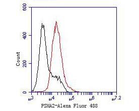 Flow cytometric analysis of PSMA2 was done on F9 cells. The cells were fixed, permeabilized and stained with the primary antibody (bsm-54695R,1/50) (red). After incubation of the primary antibody at room temperature for an hour, the cells were stained with a Alexa Fluor 488-conjugated Goat anti-Rabbit IgG Secondary antibody at 1/1000 dilution for 30 minutes.Unlabelled sample was used as a control (cells without incubation with primary antibody; black).