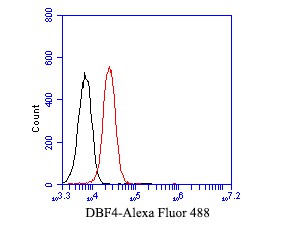 Flow cytometric analysis of DBF4 was done on F9 cells. The cells were fixed, permeabilized and stained with the primary antibody (bsm-54705R, 1/50) (red). After incubation of the primary antibody at room temperature for an hour, the cells were stained with a Alexa Fluor 488-conjugated Goat anti-Rabbit IgG Secondary antibody at 1/1000 dilution for 30 minutes.Unlabelled sample was used as a control (cells without incubation with primary antibody; black).